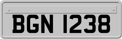 BGN1238