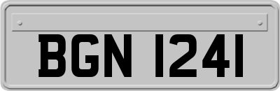 BGN1241