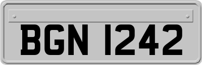BGN1242