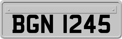 BGN1245