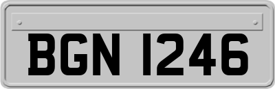 BGN1246