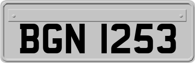 BGN1253