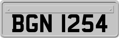 BGN1254