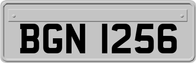 BGN1256