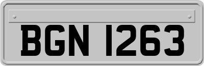BGN1263