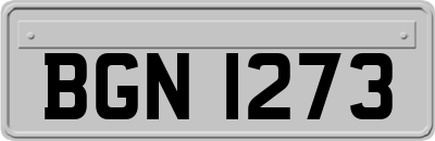 BGN1273