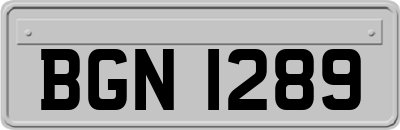 BGN1289