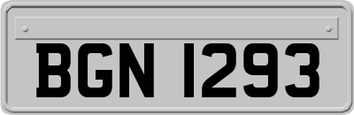 BGN1293