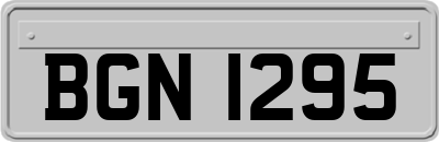 BGN1295