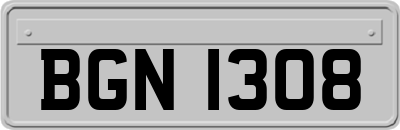 BGN1308