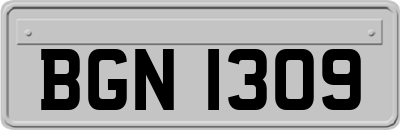 BGN1309