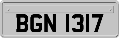 BGN1317