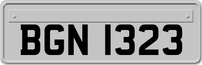 BGN1323
