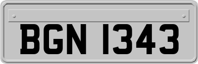 BGN1343