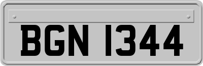 BGN1344