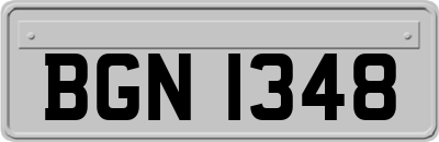 BGN1348