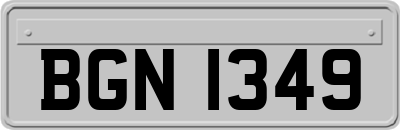 BGN1349