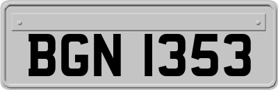 BGN1353