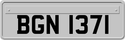 BGN1371