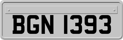 BGN1393