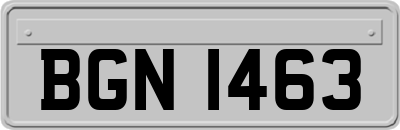 BGN1463