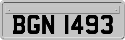 BGN1493