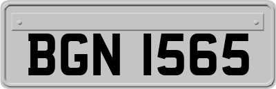 BGN1565