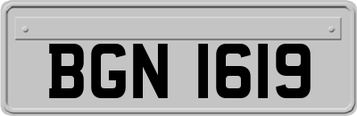 BGN1619