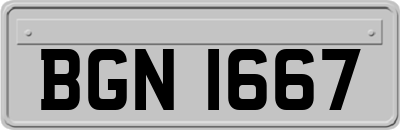BGN1667