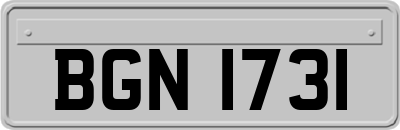 BGN1731