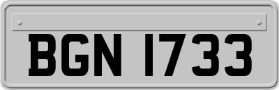 BGN1733
