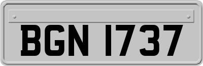 BGN1737