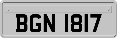 BGN1817