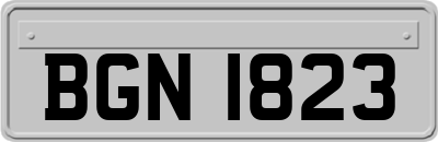 BGN1823