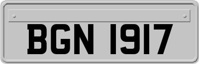 BGN1917