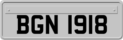 BGN1918
