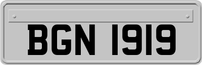 BGN1919