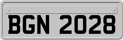 BGN2028