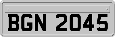 BGN2045