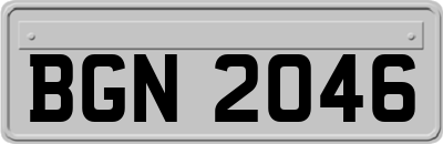 BGN2046