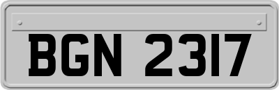 BGN2317