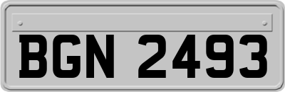 BGN2493