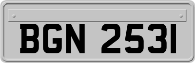 BGN2531