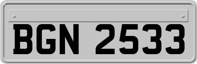 BGN2533