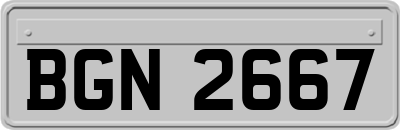 BGN2667