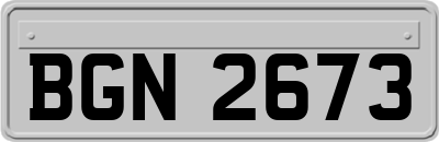 BGN2673