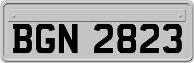 BGN2823