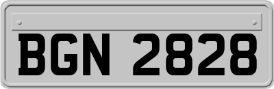 BGN2828