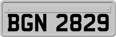 BGN2829