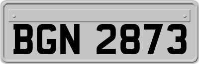 BGN2873